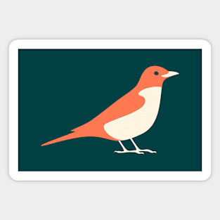 American Robin (Orange) Magnet